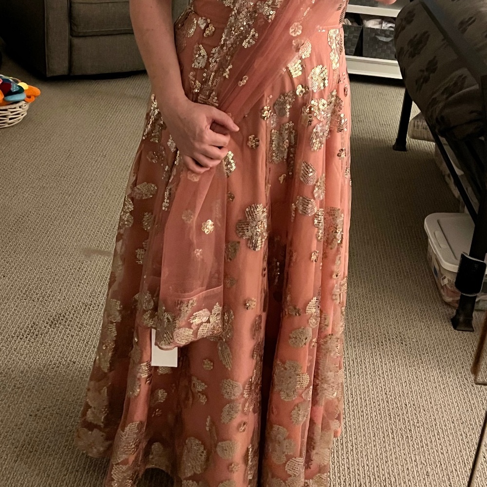 The Saree Room PETAL AZALEA SKIRT and matching DUPATTA